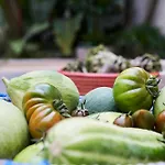 Dimora Cocchi Casa de Férias Carovigno