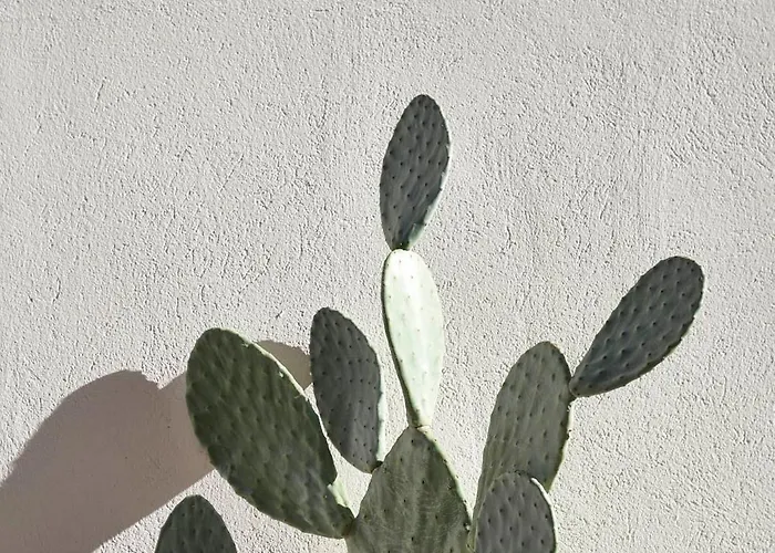 別荘 Dimora Cocchi