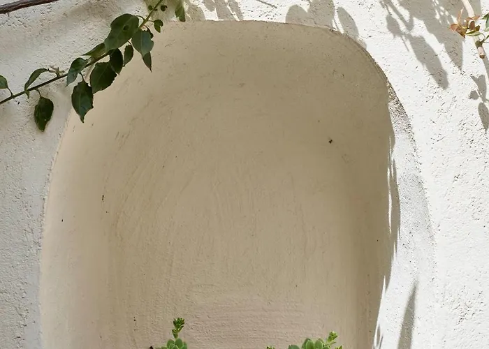 Dimora Cocchi 別荘 *