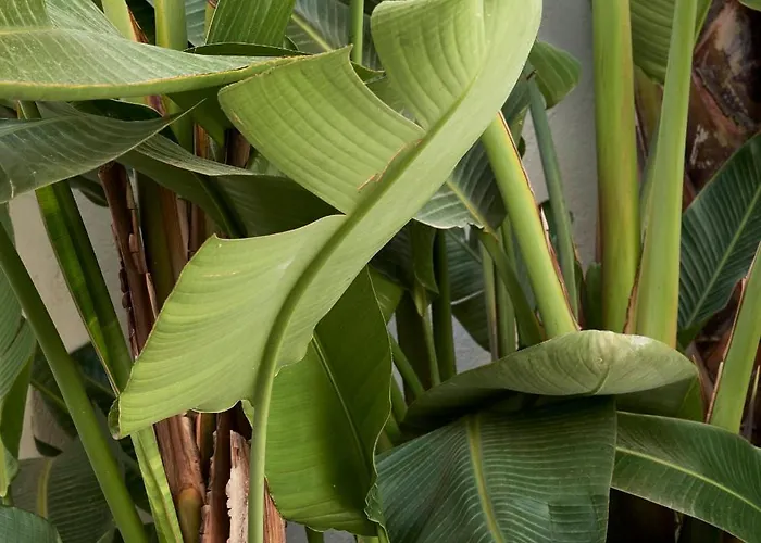 Dimora Cocchi Holiday home